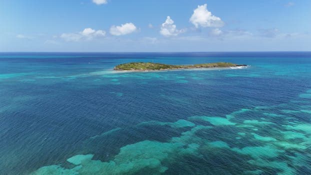 USVI Kallaloo