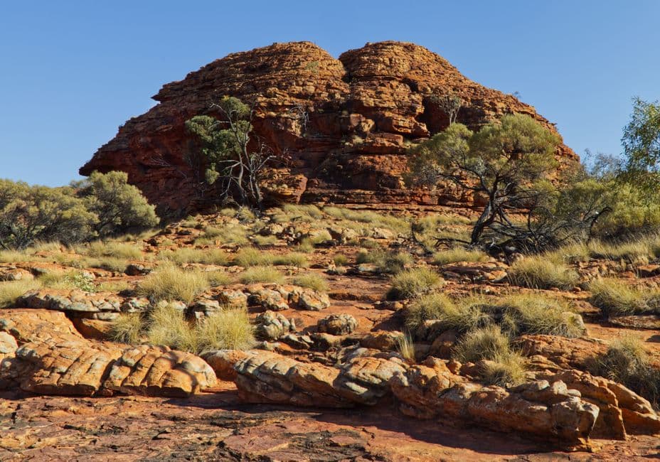 Damper (Australian Bush Bread)