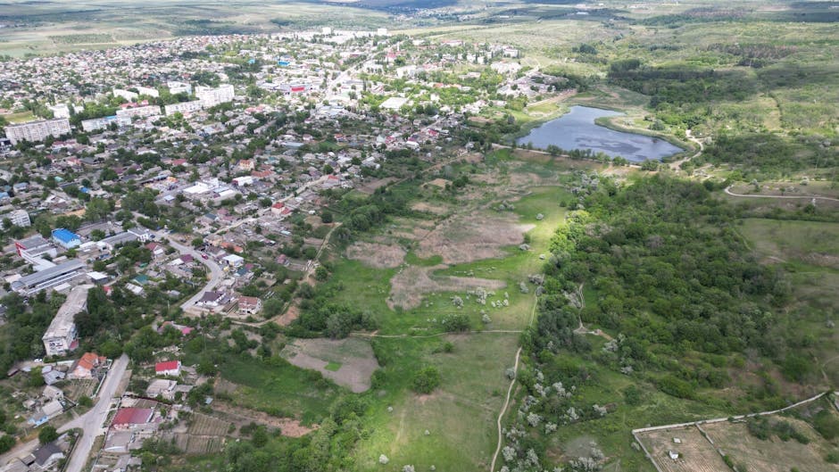 Mămăligă