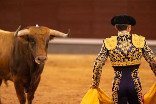 Rabo de Toro