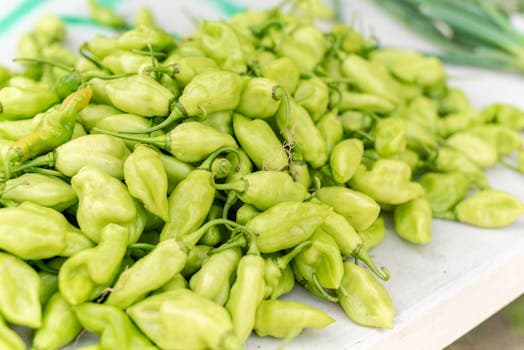 Dousoulou Callaloo