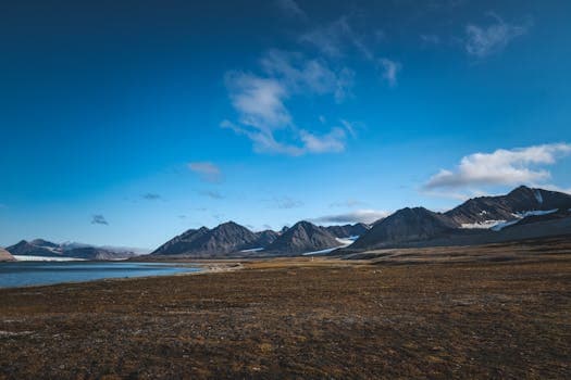 Svalbard Arctic Berry Jam