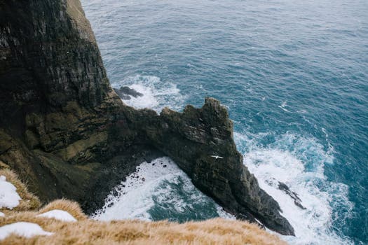 Faroese Seabird Stew
