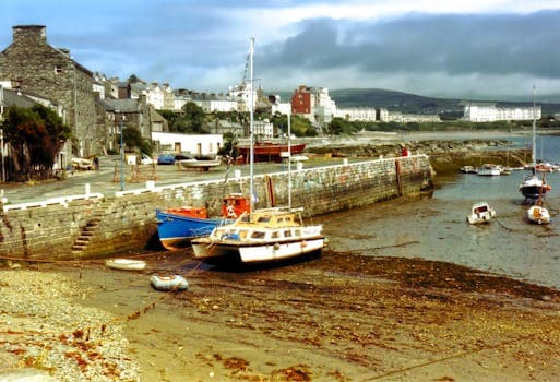 Manx Queenies