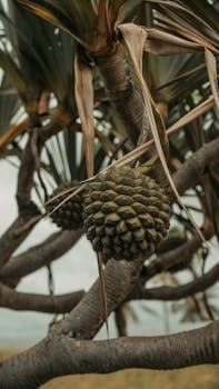 Pandanus Fruit Jam with Marshallese Flatbread