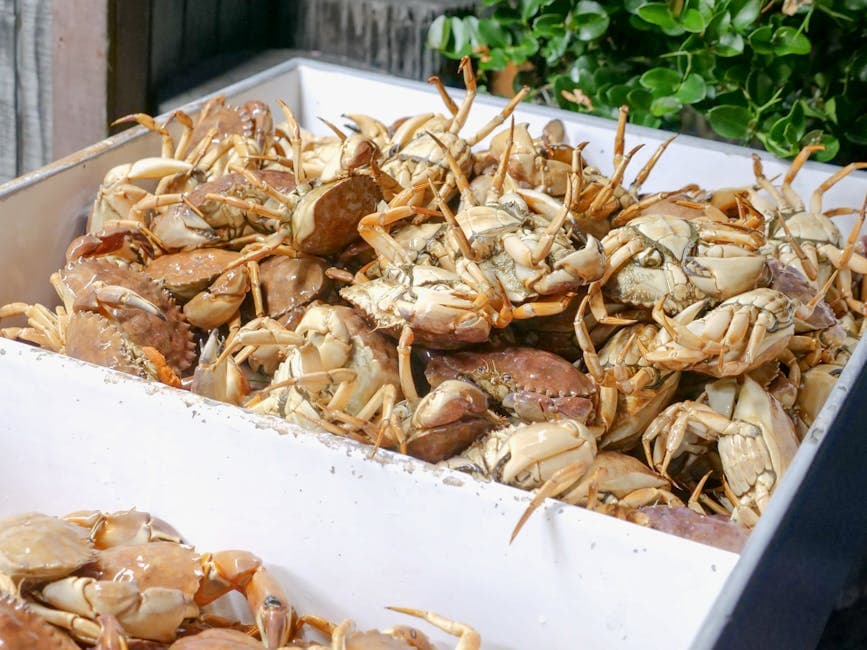Coconut Crab Feast