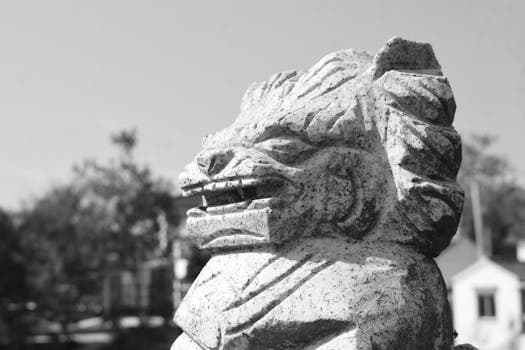 Jiangsu Lion Head Meatball