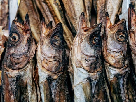 Faroese Dried Fish