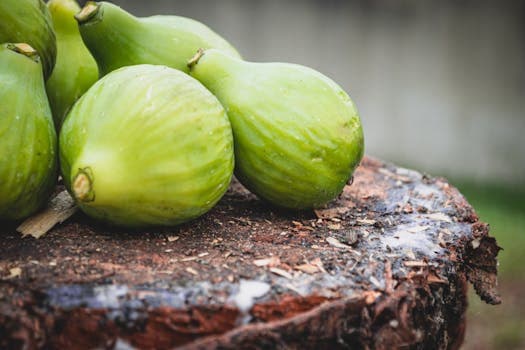 Green Fig and Saltfish
